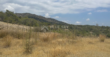 An amazing agricultural field with private road in Finikaria 24,415 sq. amongst pine trees and nature,  10 minutes from central Limassol.