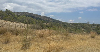 An amazing agricultural field with private road in Finikaria 24,415 sq. amongst pine trees and nature,  10 minutes from central Limassol.