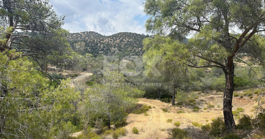 An amazing agricultural field with private road in Finikaria 24,415 sq. amongst pine trees and nature,  10 minutes from central Limassol.