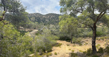 An amazing agricultural field with private road in Finikaria 24,415 sq. amongst pine trees and nature,  10 minutes from central Limassol.