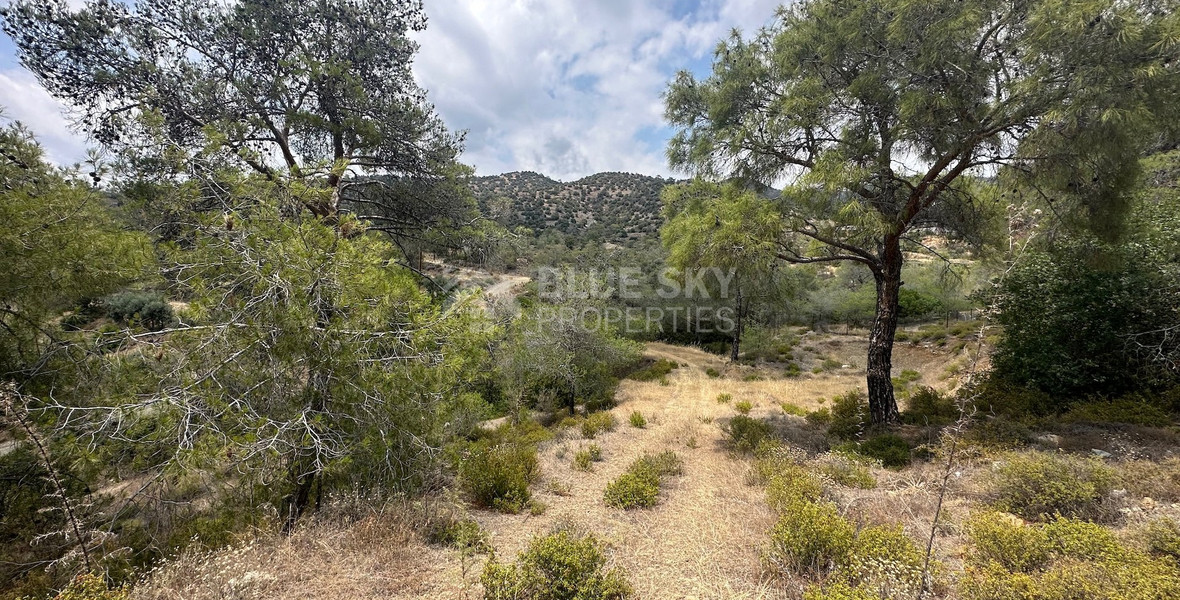 An amazing agricultural field with private road in Finikaria 24,415 sq. amongst pine trees and nature,  10 minutes from central Limassol.