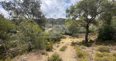 An amazing agricultural field with private road in Finikaria 24,415 sq. amongst pine trees and nature,  10 minutes from central Limassol.