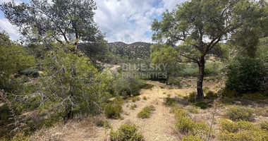 An amazing agricultural field with private road in Finikaria 24,415 sq. amongst pine trees and nature,  10 minutes from central Limassol.