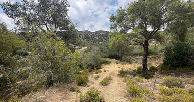 An amazing agricultural field with private road in Finikaria 24,415 sq. amongst pine trees and nature,  10 minutes from central Limassol.