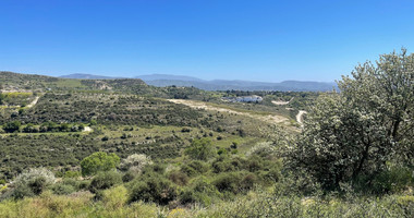 Agricultural Land In Tsada, Paphos Area