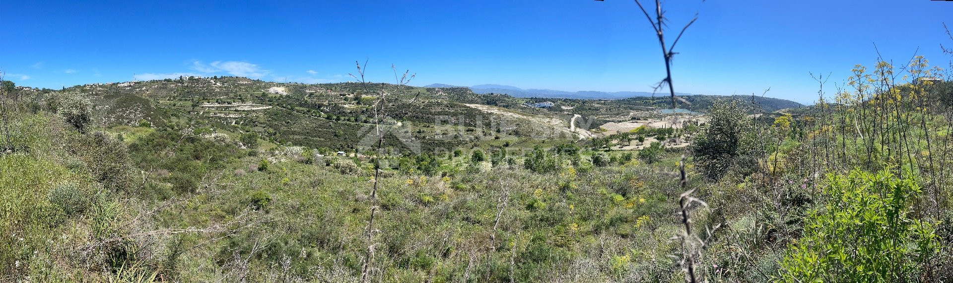 Agricultural Land In Tsada, Paphos Area