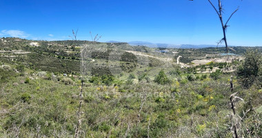 Agricultural Land In Tsada, Paphos Area