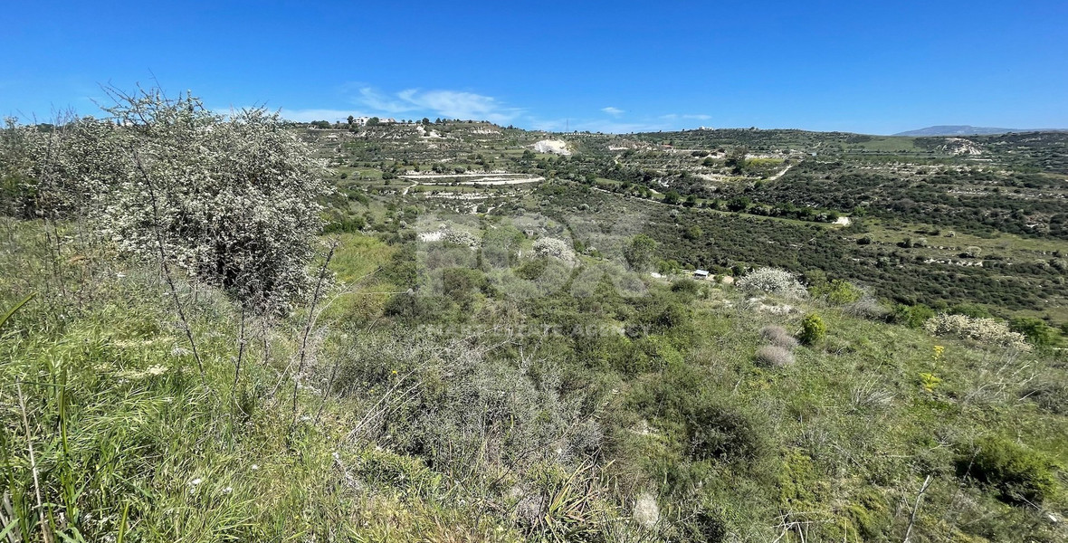 Agricultural Land In Tsada, Paphos Area