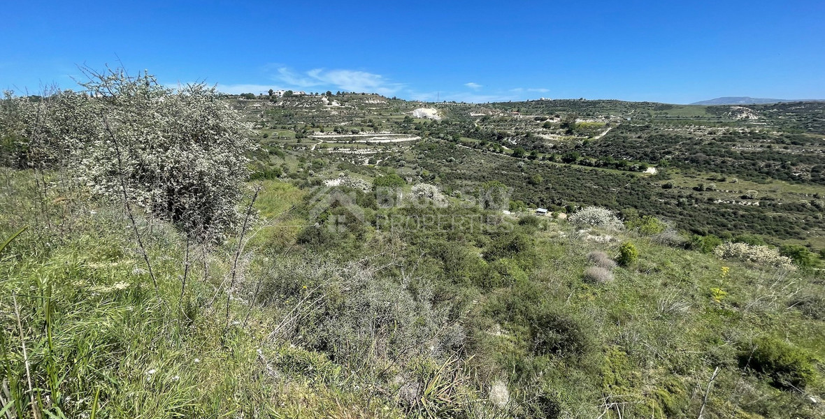 Agricultural Land In Tsada, Paphos Area