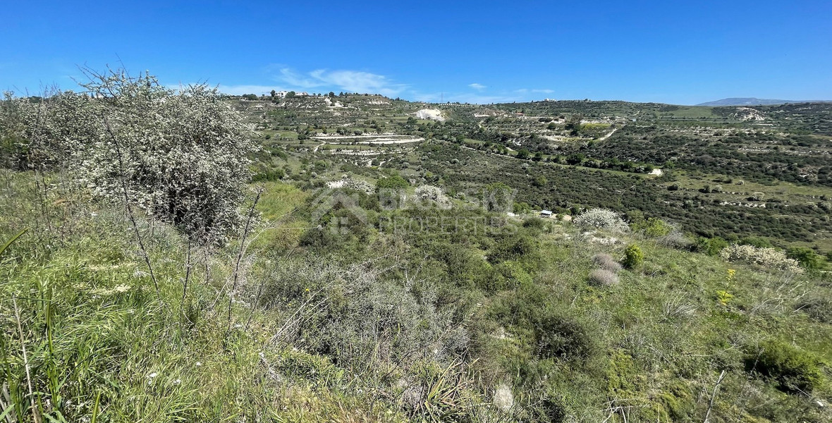 Agricultural Land In Tsada, Paphos Area