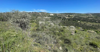 Agricultural Land In Tsada, Paphos Area