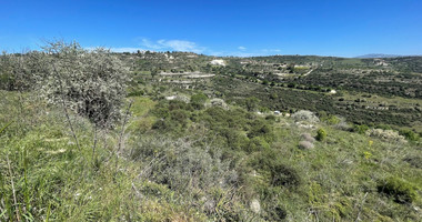 Agricultural Land In Tsada, Paphos Area