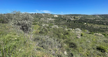 Agricultural Land In Tsada, Paphos Area