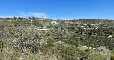 Agricultural Land In Tsada, Paphos Area