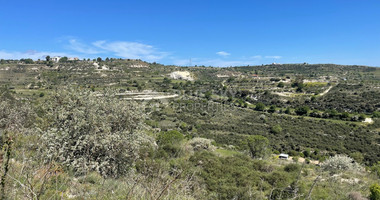 Agricultural Land In Tsada, Paphos Area