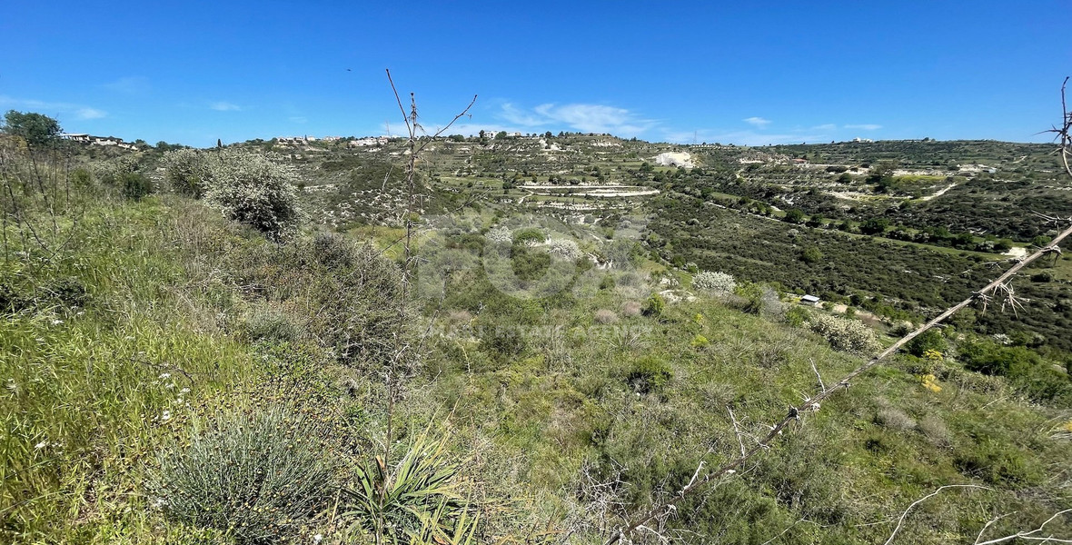 Agricultural Land In Tsada, Paphos Area
