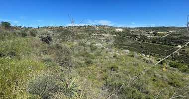 Agricultural Land In Tsada, Paphos Area