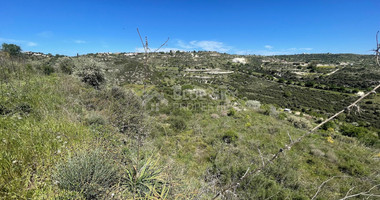 Agricultural Land In Tsada, Paphos Area