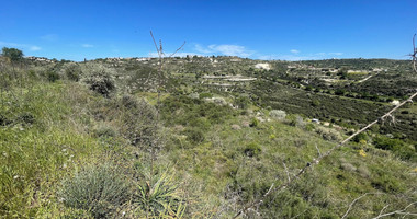 Agricultural Land In Tsada, Paphos Area
