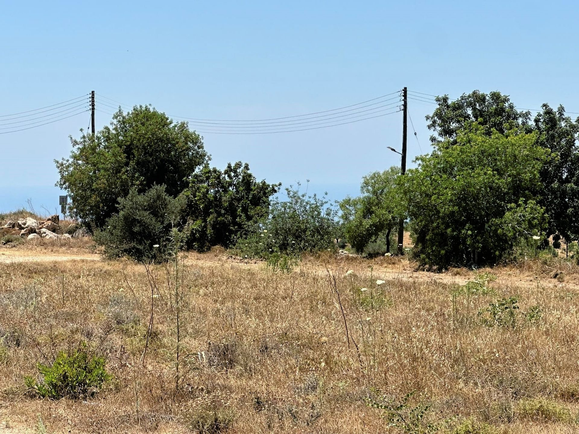 Apartment  Mesogi, Cyprus