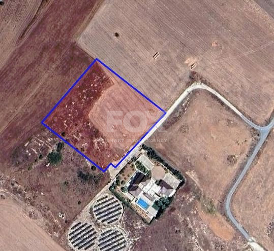 Prime agriculture land in Anarita, Paphos.