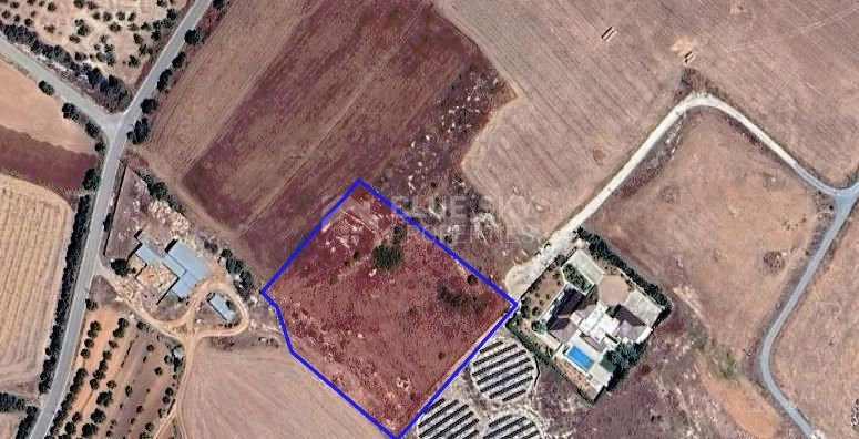 Prime agriculture land in Anarita, Paphos.