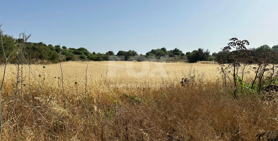 Prime Residential Land in Marathounta Area - Now at Reduced Price