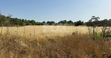 Prime Residential Land in Marathounta Area - Now at Reduced Price