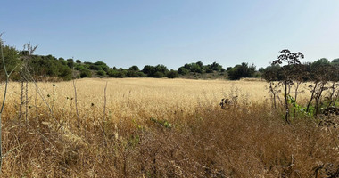 Prime Residential Land in Marathounta Area for sale - Now at Reduced Price