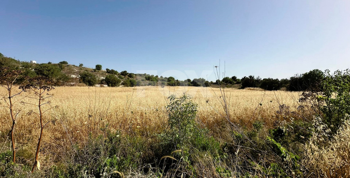 Prime Residential Land in Marathounta Area - Now at Reduced Price