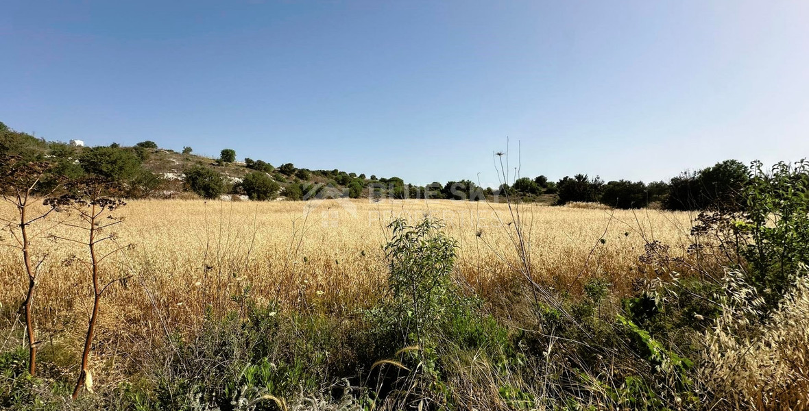 Prime Residential Land in Marathounta Area for sale - Now at Reduced Price