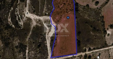 Prime Residential Land in Marathounta Area for sale - Now at Reduced Price