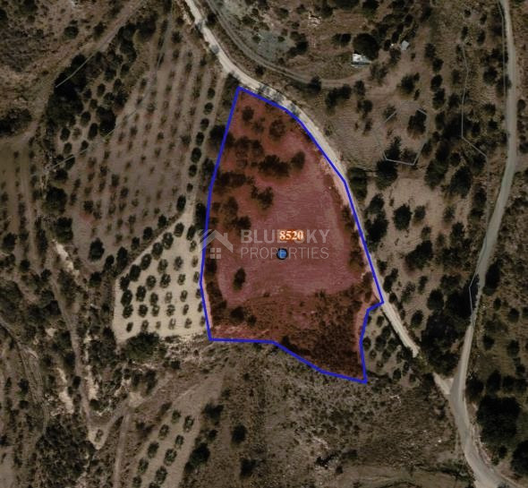 Potential Agricultural land in Marathounta village, for sale