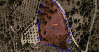 Potential Agricultural land in Marathounta village, for sale