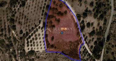 Potential Agricultural land in Marathounta village, for sale