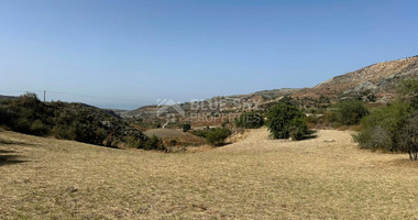 Potential Agricultural land in Marathounta village