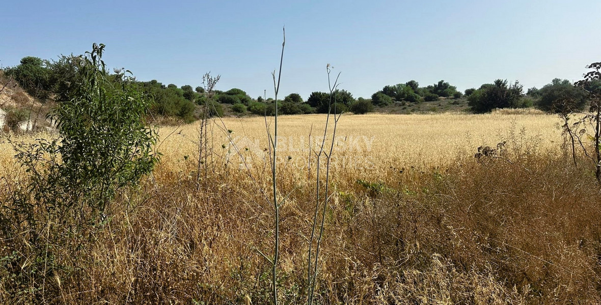 Potential Agricultural land in Marathounta village