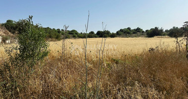 Potential Agricultural land in Marathounta village