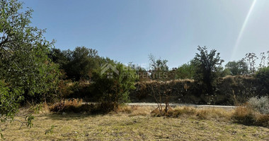 Potential Agricultural land in Marathounta village, for sale