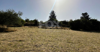 Potential Agricultural land in Marathounta village, for sale