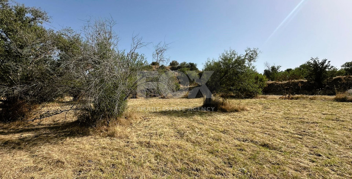 Potential Agricultural land in Marathounta village, for sale