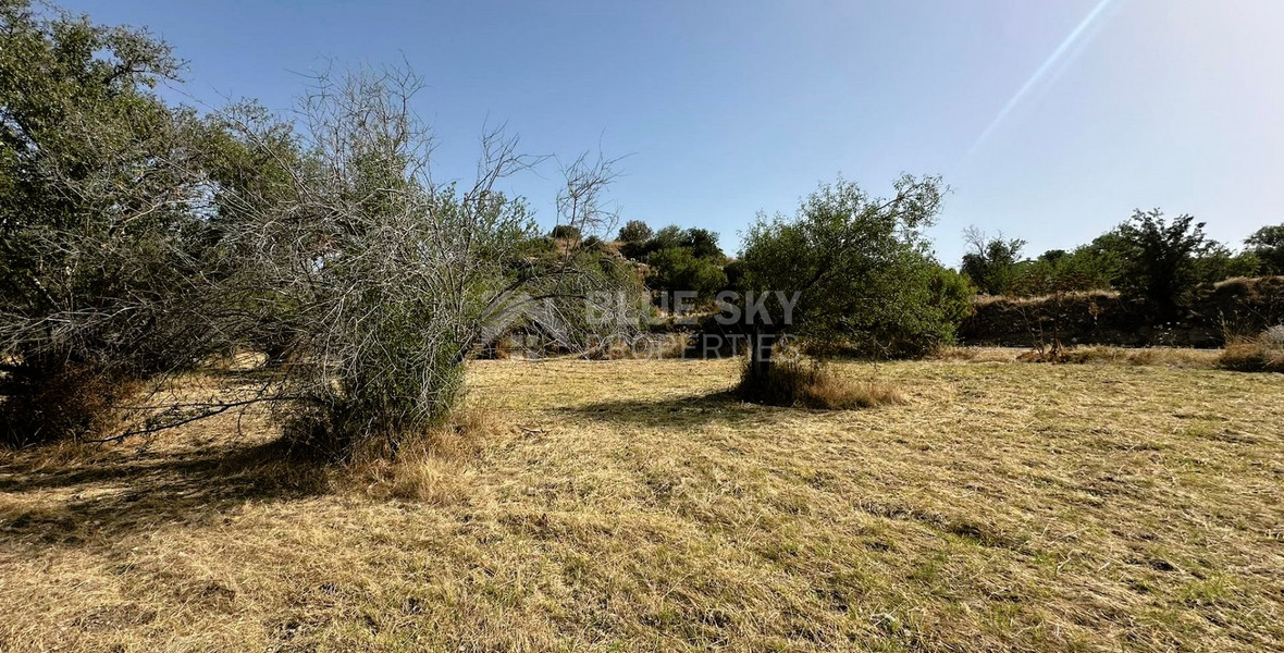 Potential Agricultural land in Marathounta village