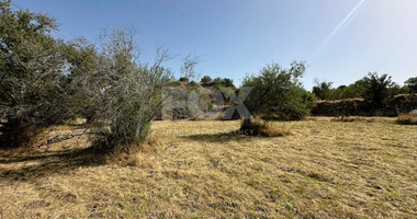 Potential Agricultural land in Marathounta village, for sale