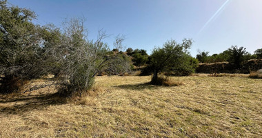 Potential Agricultural land in Marathounta village, for sale