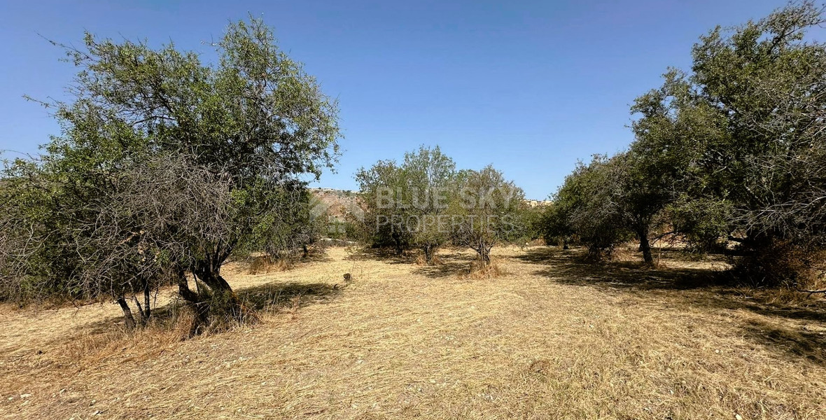 Potential Agricultural land in Marathounta village, for sale