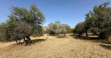 Potential Agricultural land in Marathounta village, for sale