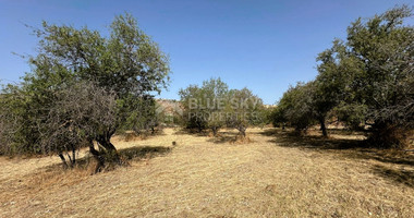 Potential Agricultural land in Marathounta village, for sale