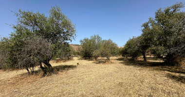Potential Agricultural land in Marathounta village, for sale