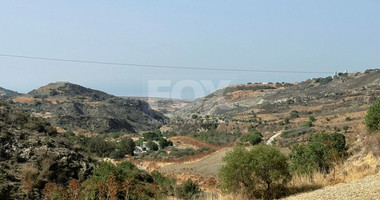 Agricultural land in Marathounta village