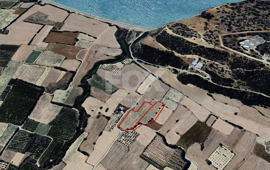 Agricultural Land for Sale in Paramali: Near the Beach